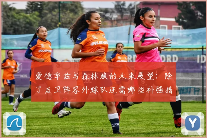 爱德华兹与森林狼的未来展望：除了后卫阵容外球队还需哪些补强措施