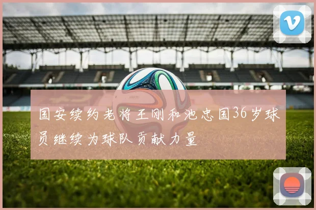 国安续约老将王刚和池忠国36岁球员继续为球队贡献力量