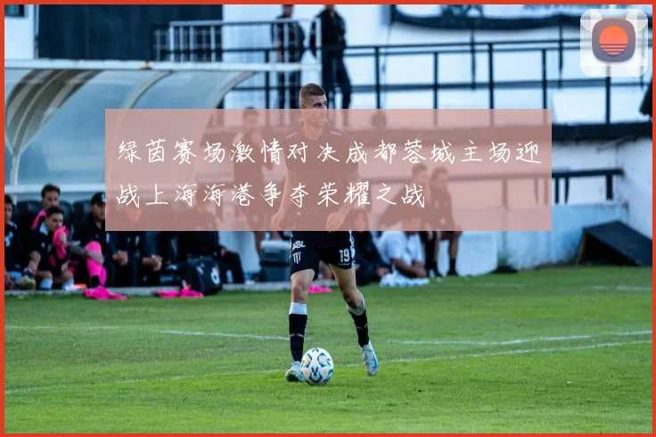 绿茵赛场激情对决成都蓉城主场迎战上海海港争夺荣耀之战